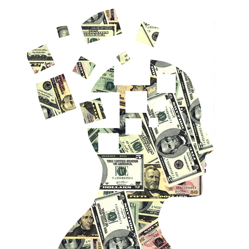 Financial Intelligence (Adult)